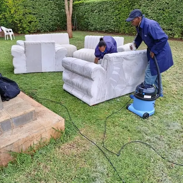Sofa cleaning project
